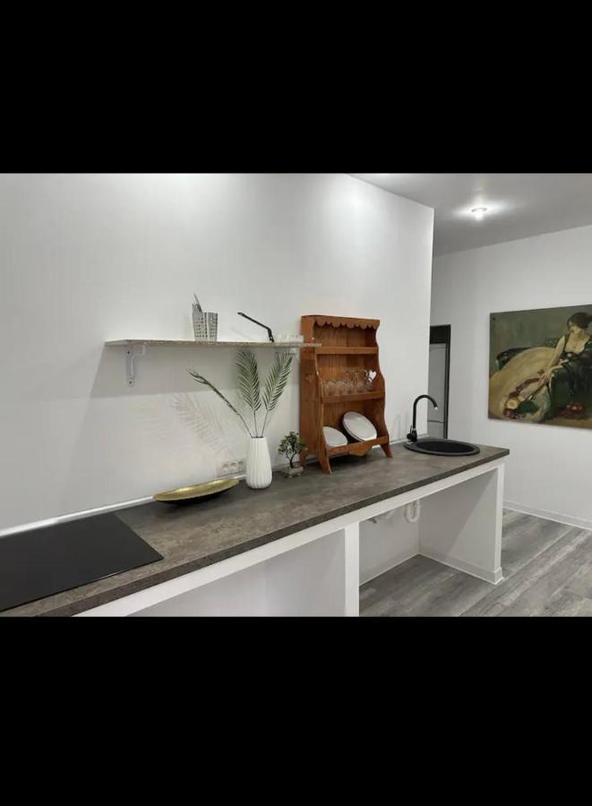 Piata Libertatii Apartament 1 Room Temešvár Exteriér fotografie