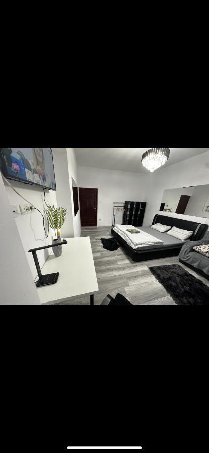 Piata Libertatii Apartament 1 Room Temešvár Exteriér fotografie