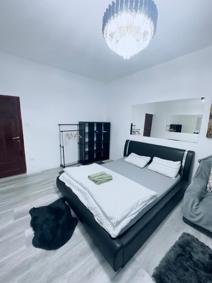 Piata Libertatii Apartament 1 Room Temešvár Exteriér fotografie